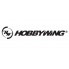 Hobbywing (9)